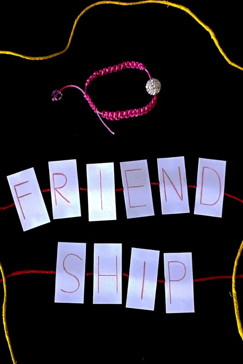 Friendship постер