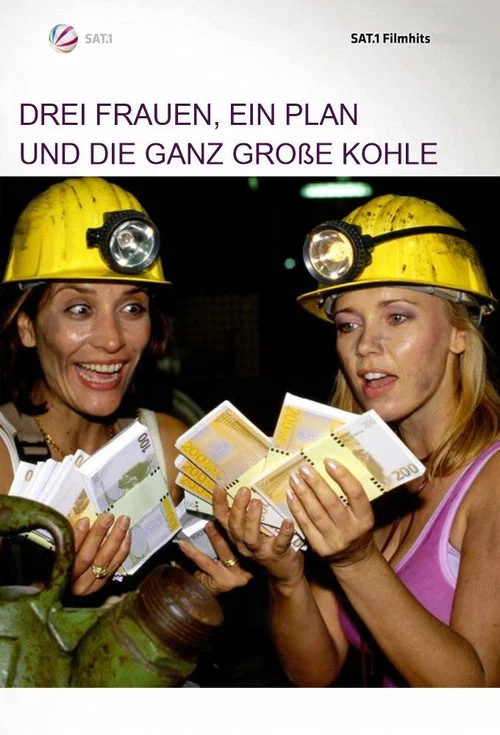 Drei Frauen, ein Plan und die ganz große Kohle постер