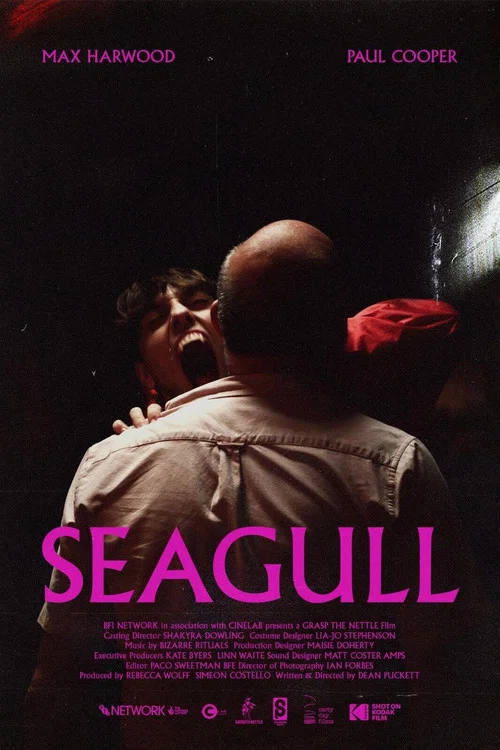 Seagull постер