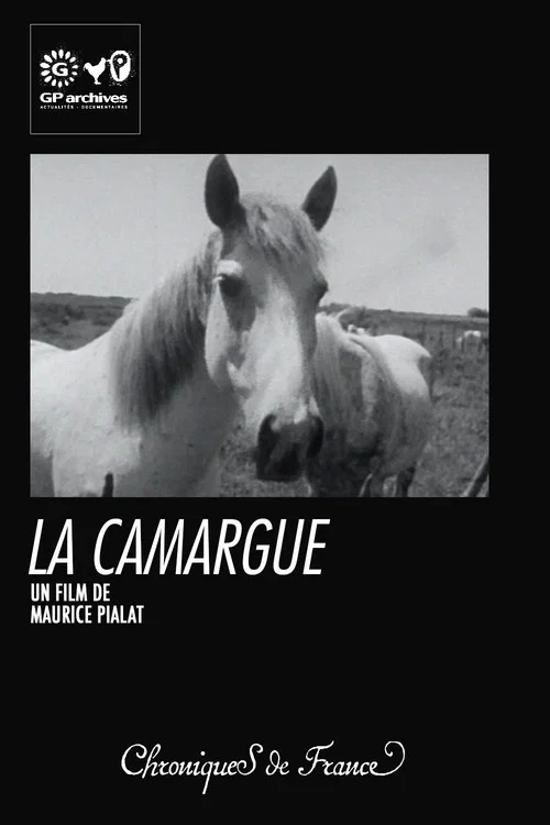 La Camargue постер