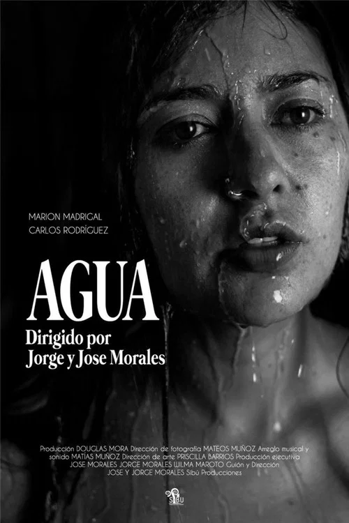 Agua постер