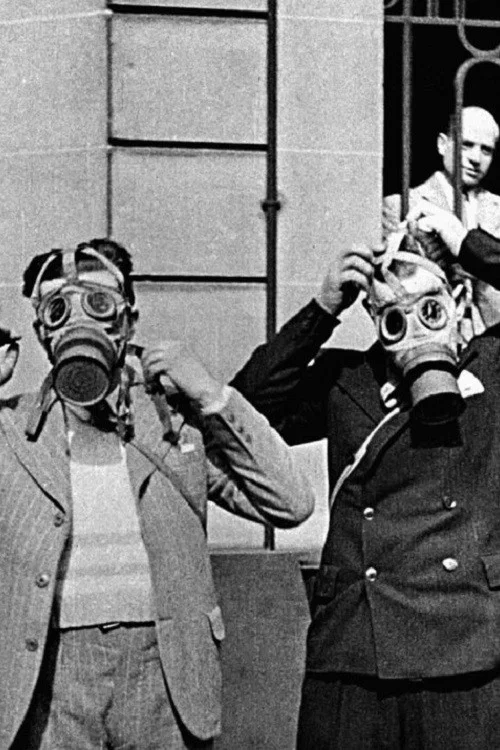 Le cinéma au service de l'histoire постер