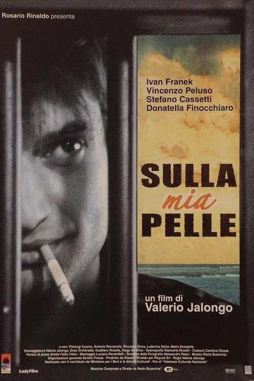 Sulla mia pelle постер