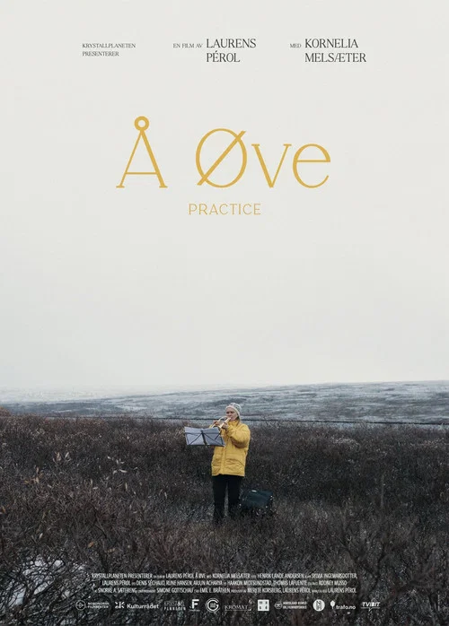 Å øve постер