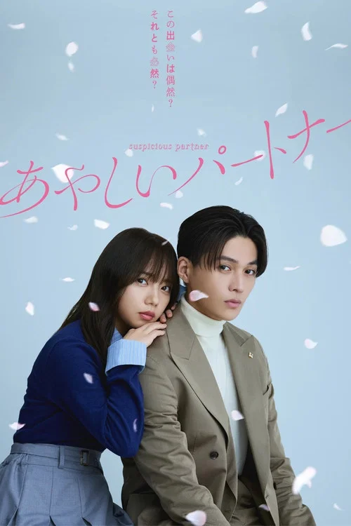 あやしいパートナー постер