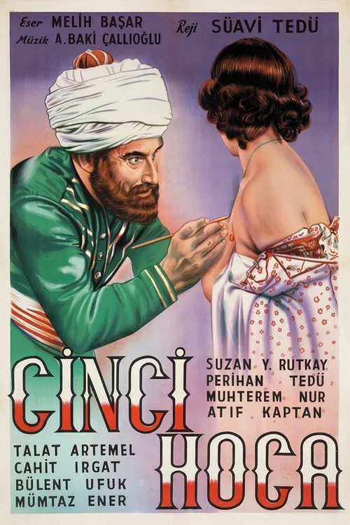 Cinci Hoca постер