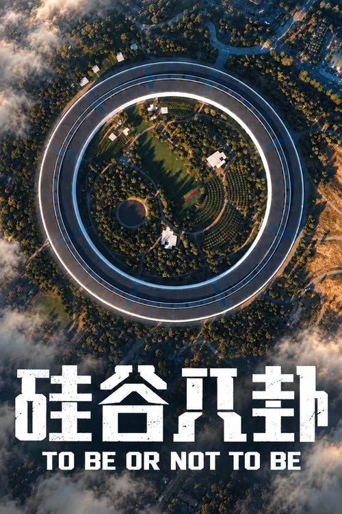 硅谷八卦 постер