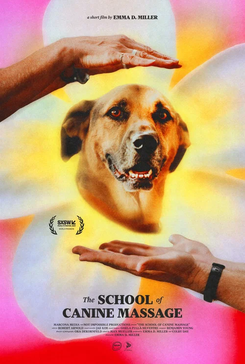 The School of Canine Massage постер