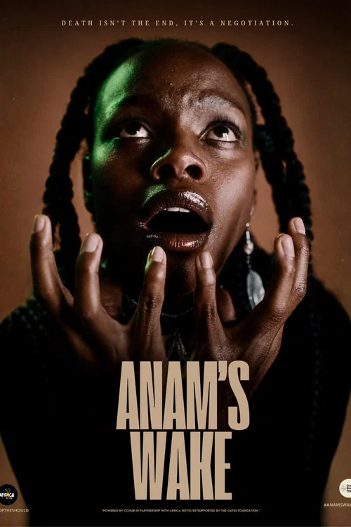 Anam's Wake постер