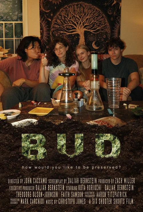 BUD постер