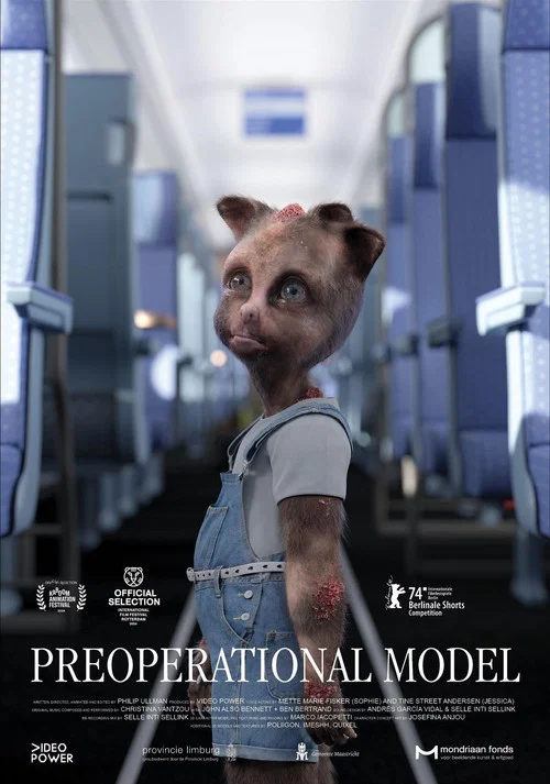 Preoperational Model постер