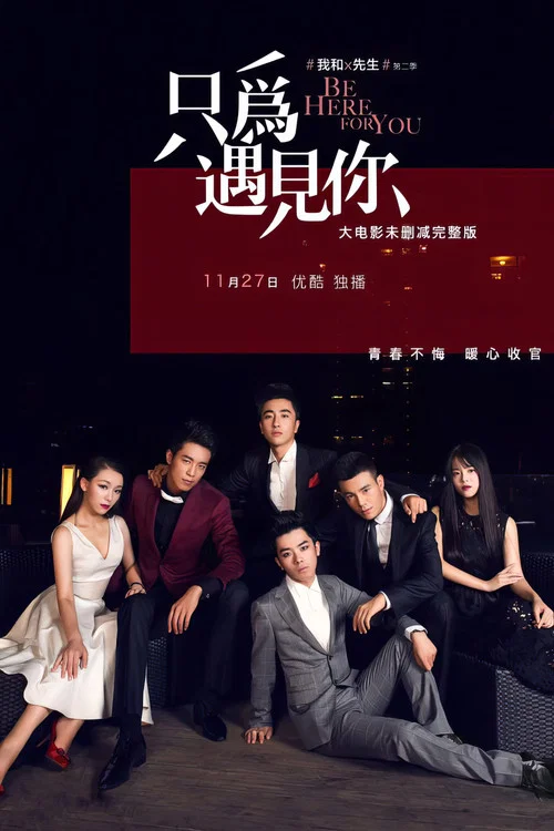 我和X先生：只为遇见你 постер