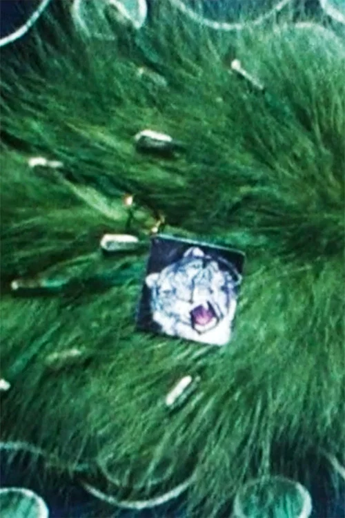 Feather-Arrangement постер