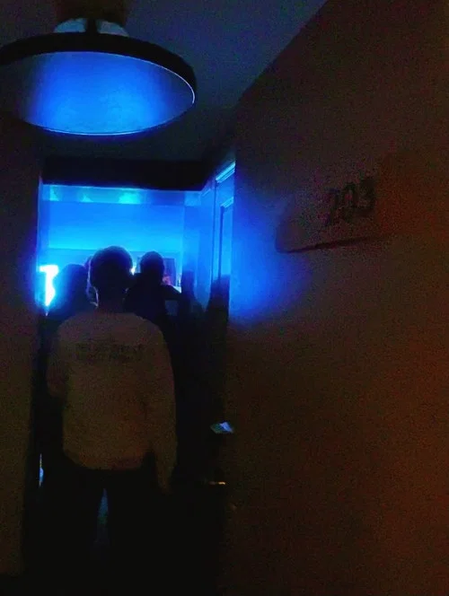Chambre 203 постер