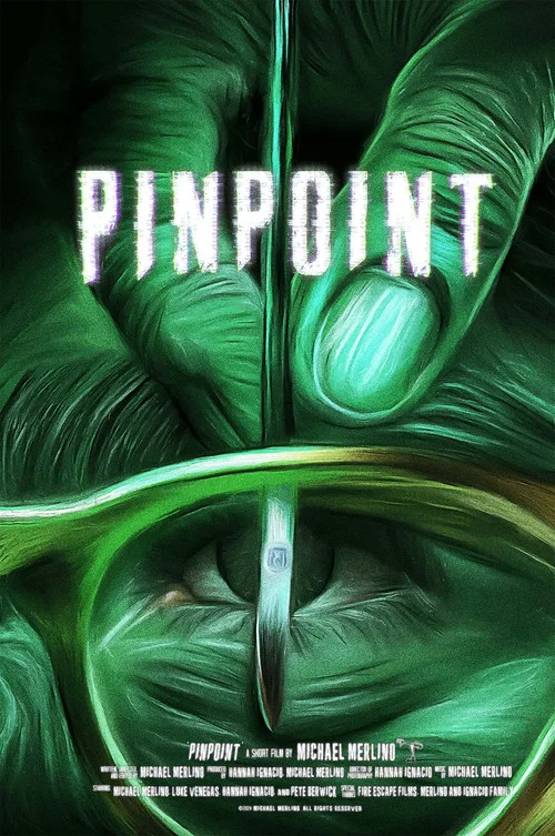 PINPOINT постер