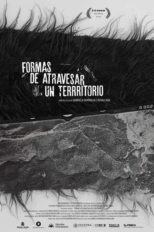 Formas de atravesar un territorio постер