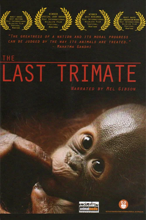 The Last Trimate постер