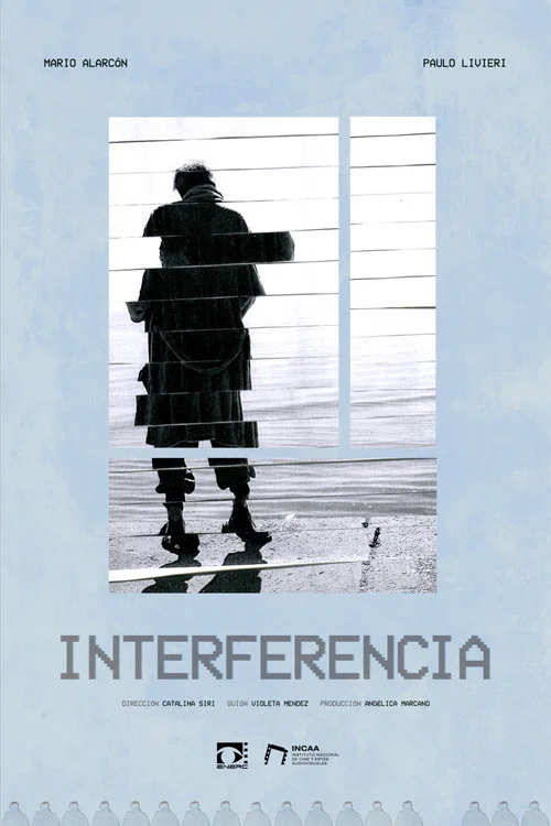 Interferencia постер