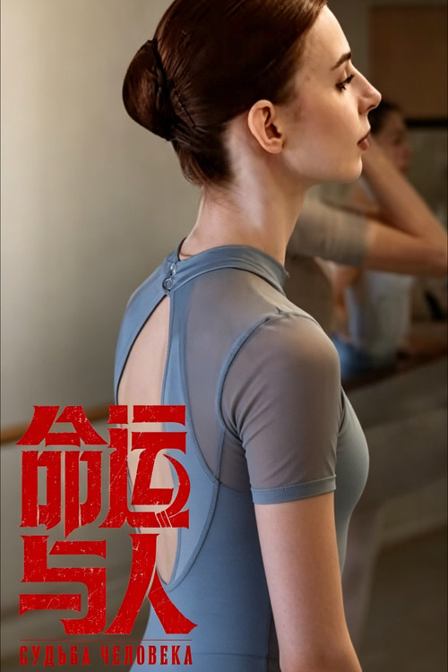 命运与人 постер