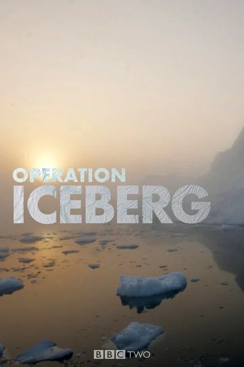 Operation Iceberg постер