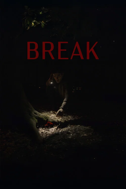 Break постер