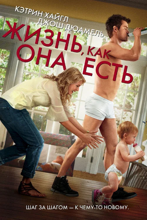 Жизнь, как она есть постер