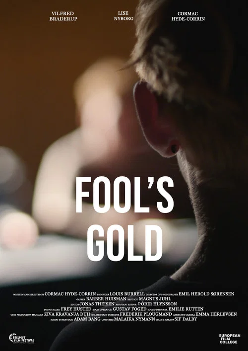 Fool's Gold постер