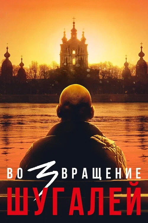 Возвращение. Шугалей постер