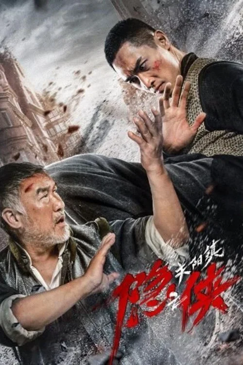 隐侠之关阳镇 постер