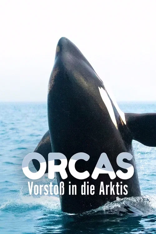 Orcas - Vorstoss in die Arktis постер