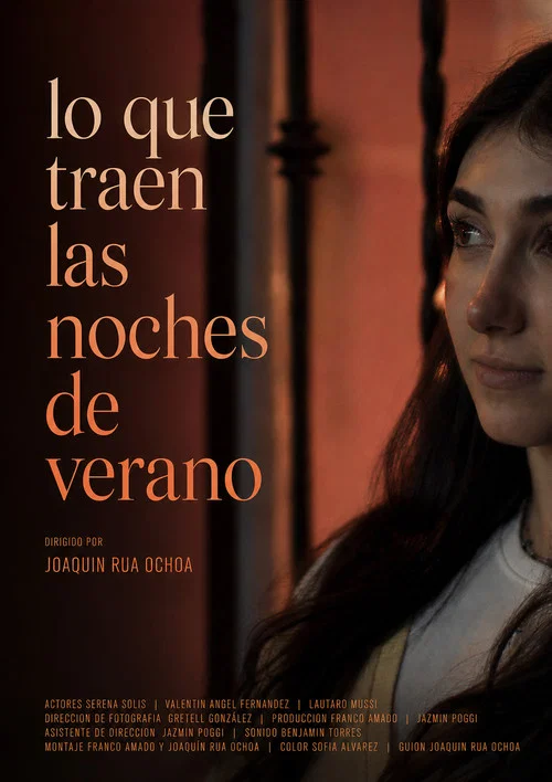 Lo que traen las noches de verano постер