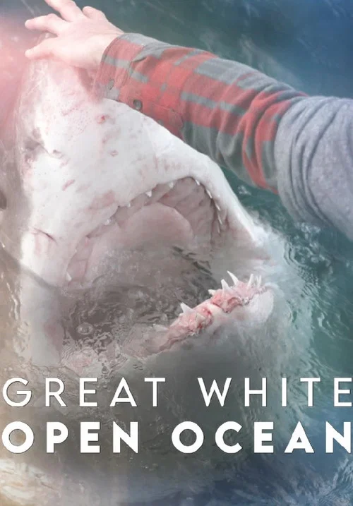 Great White Open Ocean постер