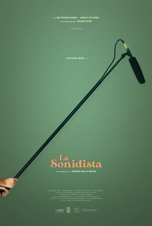 La Sonidista постер
