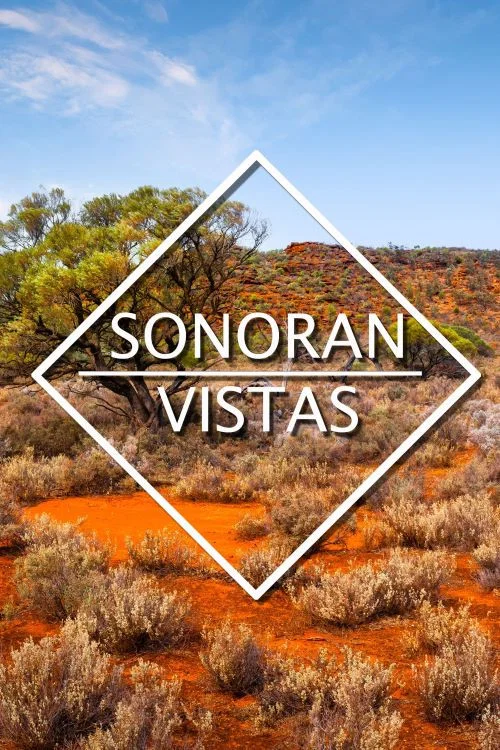 Sonoran Vistas постер
