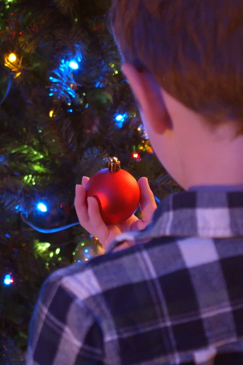 Figgy Pudding постер