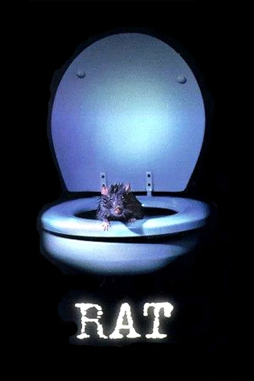 Rat постер