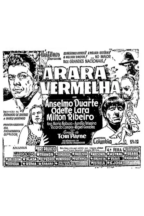 Arara Vermelha постер