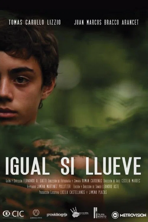 Igual si llueve постер