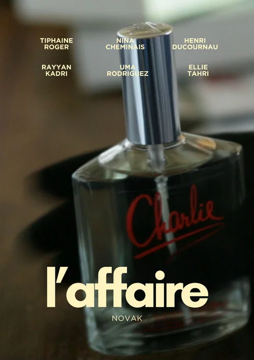 L’Affaire Novak постер