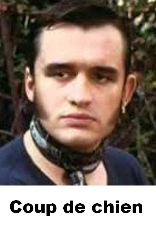Coup de chien постер