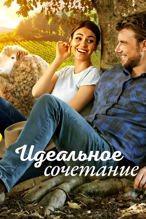 Идеальное сочетание постер