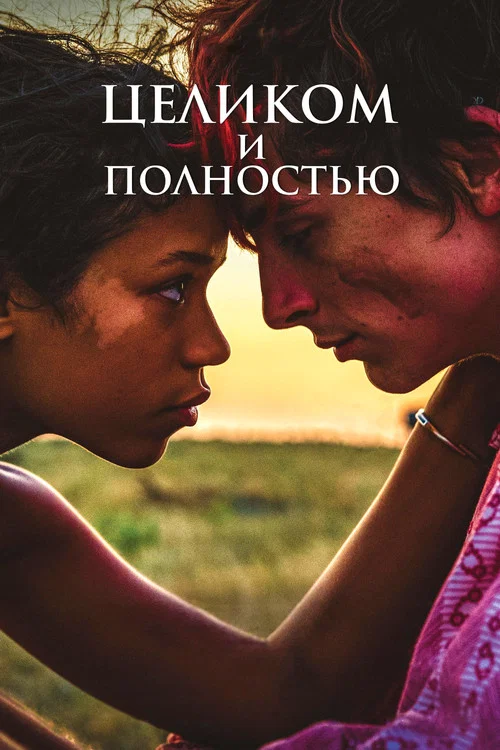 Целиком и полностью постер