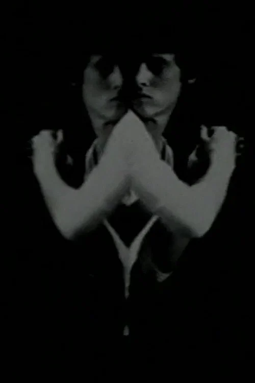 Environmental Symmetry постер