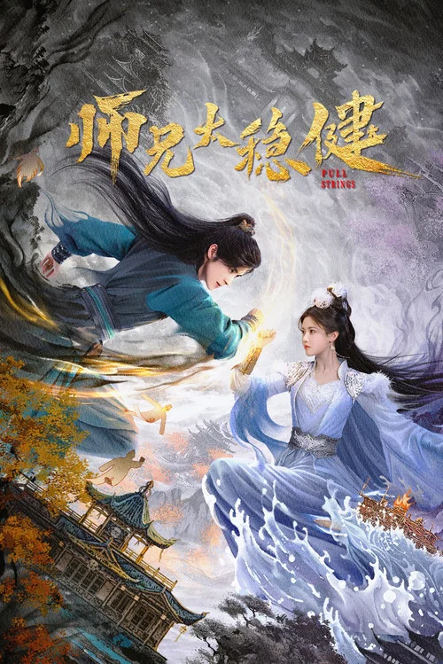 师兄太稳健 постер