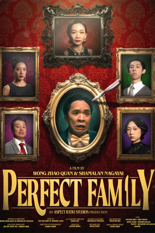Perfect Family постер