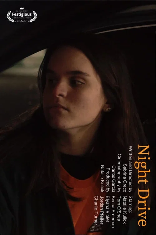 Night Drive постер