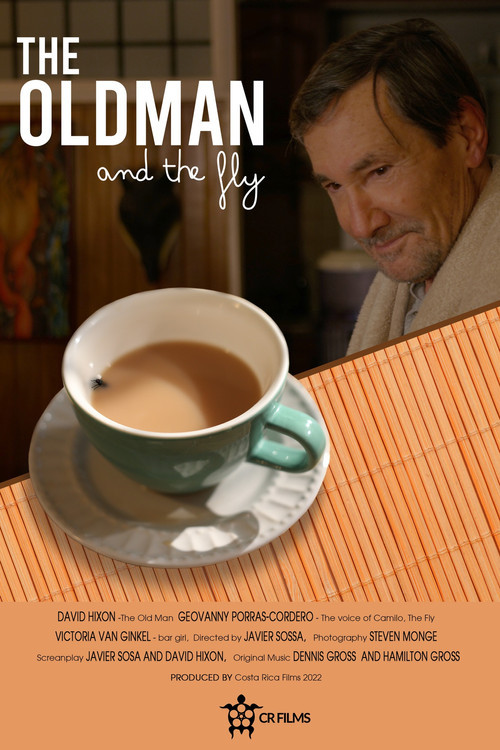 The Old Man and the Fly постер