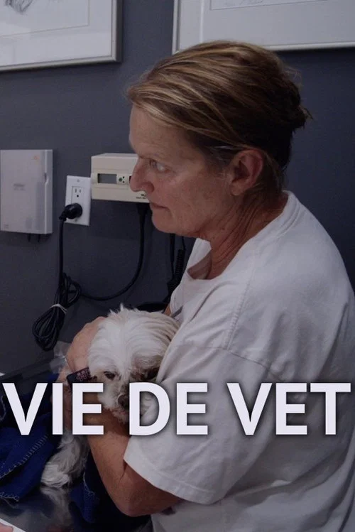 Vie de vet постер