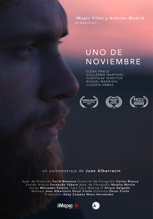 Uno de noviembre постер