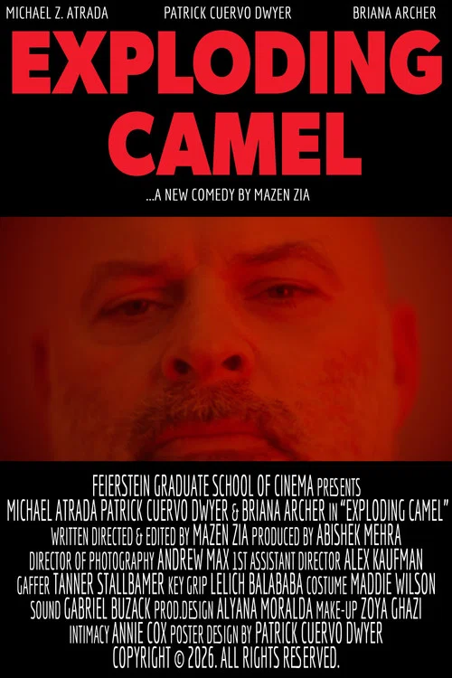 Exploding Camel постер